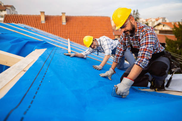 Best Roof Moss and Algae Removal  in Rutherford, PA